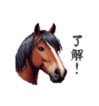 2026正月馬スタンプ【元旦・面白い】（個別スタンプ：24）