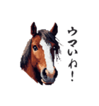 2026正月馬スタンプ【元旦・面白い】（個別スタンプ：27）