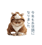 2026正月馬ねこ【元旦・かわいい】（個別スタンプ：2）