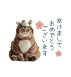 2026正月馬ねこ【元旦・かわいい】（個別スタンプ：3）