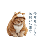 2026正月馬ねこ【元旦・かわいい】（個別スタンプ：8）