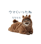 2026正月馬ねこ【元旦・かわいい】（個別スタンプ：9）