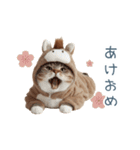 2026正月馬ねこ【元旦・かわいい】（個別スタンプ：10）