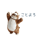 2026正月馬ねこ【元旦・かわいい】（個別スタンプ：11）