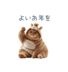 2026正月馬ねこ【元旦・かわいい】（個別スタンプ：12）