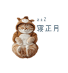 2026正月馬ねこ【元旦・かわいい】（個別スタンプ：13）