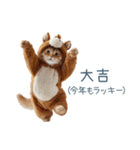 2026正月馬ねこ【元旦・かわいい】（個別スタンプ：19）