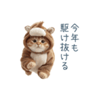 2026正月馬ねこ【元旦・かわいい】（個別スタンプ：21）