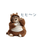 2026正月馬ねこ【元旦・かわいい】（個別スタンプ：22）