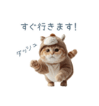 2026正月馬ねこ【元旦・かわいい】（個別スタンプ：27）