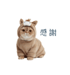 2026正月馬ねこ【元旦・かわいい】（個別スタンプ：31）