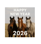 リアル 2026年 あけおめ 馬 年賀状（個別スタンプ：11）