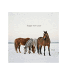 リアル 2026年 あけおめ 馬 年賀状（個別スタンプ：21）