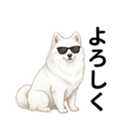 サモエド年末年始ご挨拶（個別スタンプ：2）