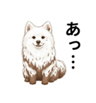 サモエド年末年始ご挨拶（個別スタンプ：3）