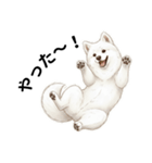 サモエド年末年始ご挨拶（個別スタンプ：11）