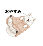 サモエド年末年始ご挨拶（個別スタンプ：13）