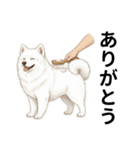 サモエド年末年始ご挨拶（個別スタンプ：14）