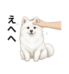 サモエド年末年始ご挨拶（個別スタンプ：15）