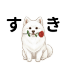 サモエド年末年始ご挨拶（個別スタンプ：17）