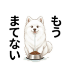 サモエド年末年始ご挨拶（個別スタンプ：18）