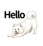 サモエド年末年始ご挨拶（個別スタンプ：19）