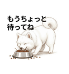 サモエド年末年始ご挨拶（個別スタンプ：20）