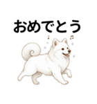 サモエド年末年始ご挨拶（個別スタンプ：21）