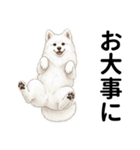 サモエド年末年始ご挨拶（個別スタンプ：22）