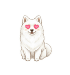 サモエド年末年始ご挨拶（個別スタンプ：23）