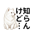 サモエド年末年始ご挨拶（個別スタンプ：25）