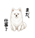 サモエド年末年始ご挨拶（個別スタンプ：27）