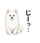 サモエド年末年始ご挨拶（個別スタンプ：28）