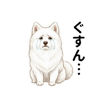 サモエド年末年始ご挨拶（個別スタンプ：30）