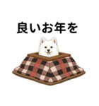 サモエド年末年始ご挨拶（個別スタンプ：33）