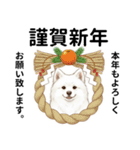 サモエド年末年始ご挨拶（個別スタンプ：37）