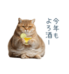 新年の酒クズ猫【お正月・面白い】（個別スタンプ：2）