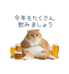 新年の酒クズ猫【お正月・面白い】（個別スタンプ：3）