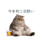 新年の酒クズ猫【お正月・面白い】（個別スタンプ：5）