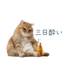 新年の酒クズ猫【お正月・面白い】（個別スタンプ：6）