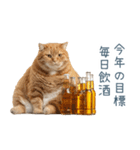 新年の酒クズ猫【お正月・面白い】（個別スタンプ：8）