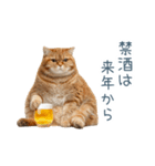 新年の酒クズ猫【お正月・面白い】（個別スタンプ：10）