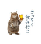 新年の酒クズ猫【お正月・面白い】（個別スタンプ：11）