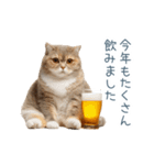 新年の酒クズ猫【お正月・面白い】（個別スタンプ：15）