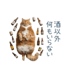 新年の酒クズ猫【お正月・面白い】（個別スタンプ：18）