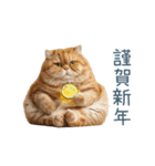 新年の酒クズ猫【お正月・面白い】（個別スタンプ：20）