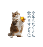 新年の酒クズ猫【お正月・面白い】（個別スタンプ：21）