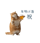 新年の酒クズ猫【お正月・面白い】（個別スタンプ：22）