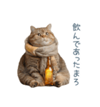 新年の酒クズ猫【お正月・面白い】（個別スタンプ：23）