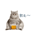 新年の酒クズ猫【お正月・面白い】（個別スタンプ：24）